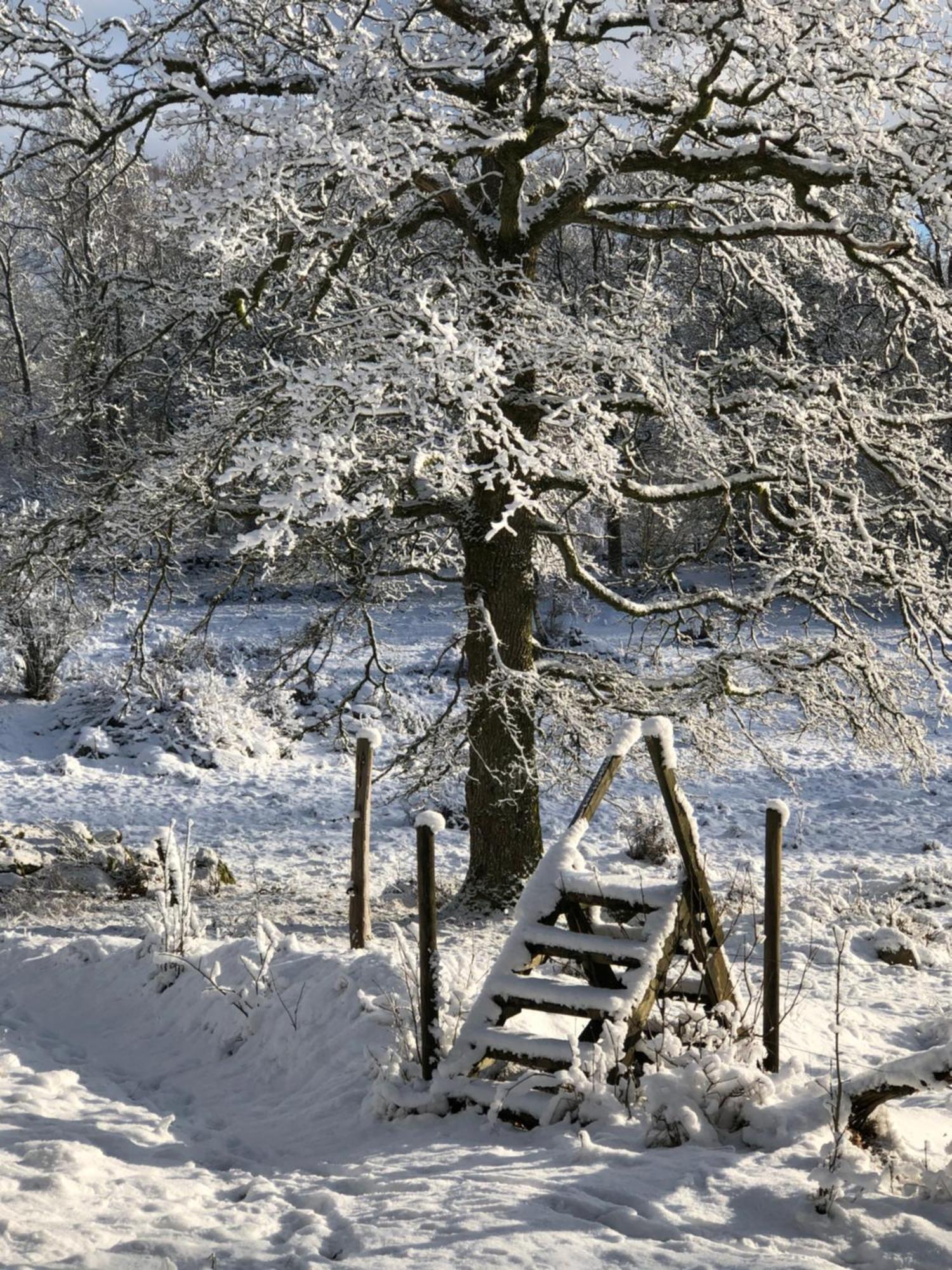 Oevra Berg Villa Ullared Luaran gambar